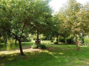 La Civetta